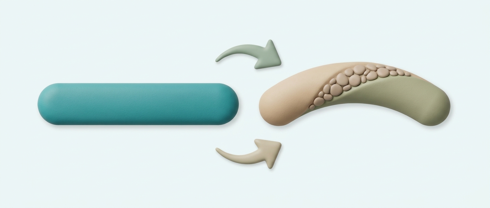 Illustration 3D symbolique de deux bandes souples côte à côte, l'une droite et l'autre courbée avec une zone texturée, évoquant de façon imagée la maladie de Lapeyronie
