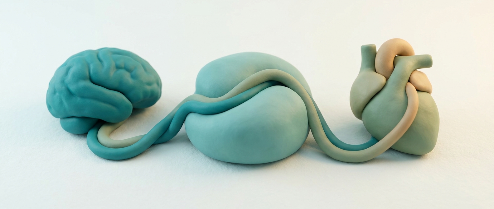 Illustration 3D symbolique de deux chemins, l'un évoquant le mental et l'autre le corps, convergeant vers une même forme centrale
